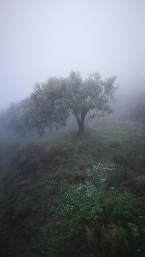Apartmán Casa Del Cielo Frigiliana Exteriér fotografie
