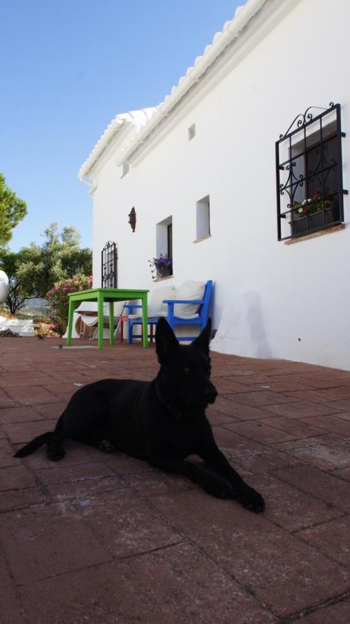 Apartmán Casa Del Cielo Frigiliana Exteriér fotografie