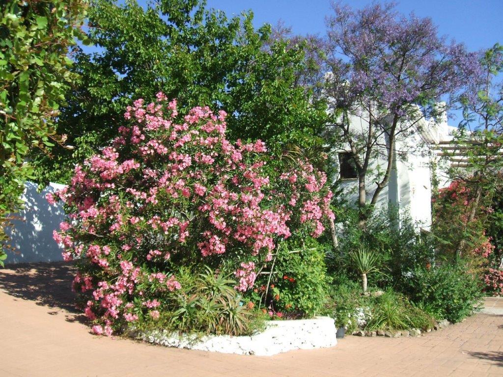 Apartmán Casa Del Cielo Frigiliana Exteriér fotografie